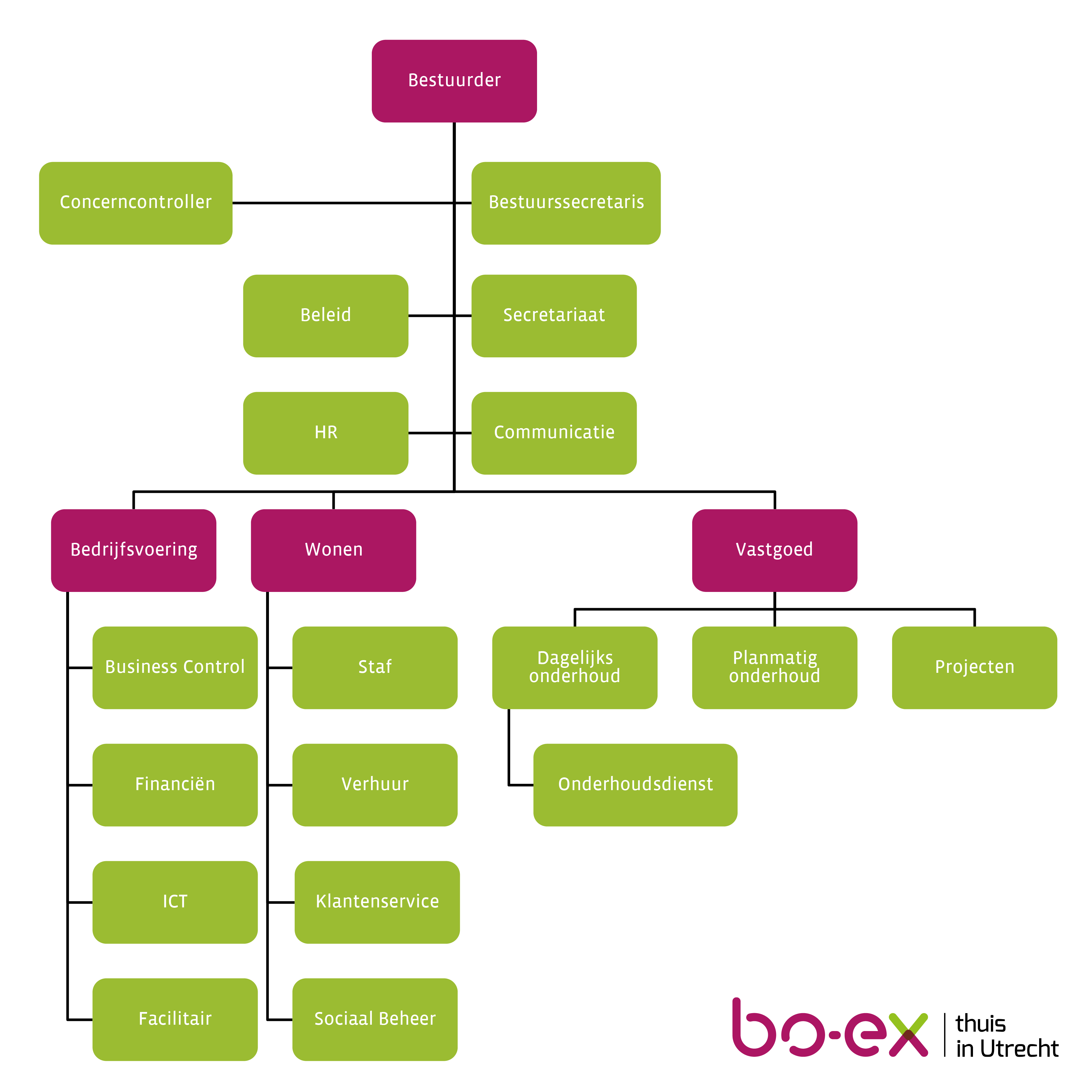 Organisatieschema van Bo-Ex